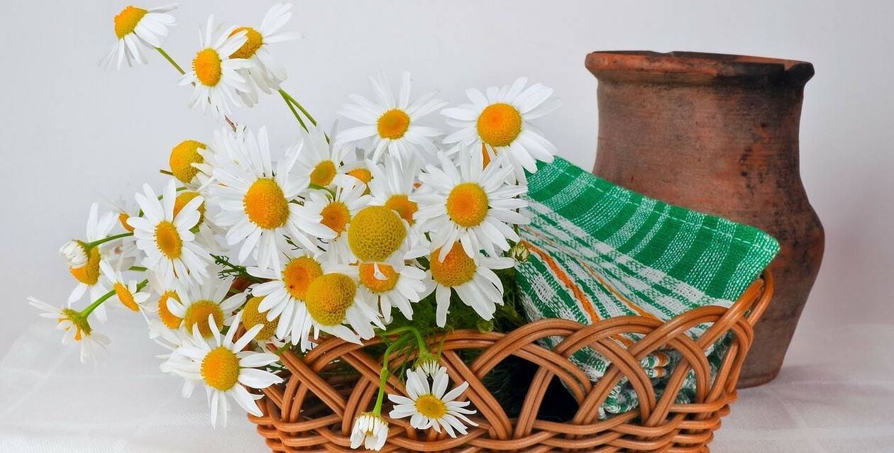 طريقة صنع تونر للوجه من زهور البابونج.